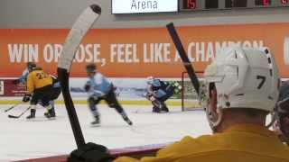 The Adult Safe Hockey League (ASHL)