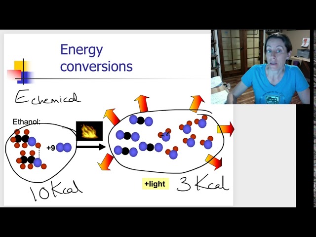 Unlocking Energy Freedom: How Exergonic Processes Power Life and Industry