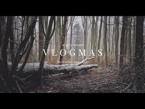 A very gentle vlogmas — December 2, 2021