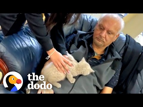 Dad Does NOT Want Cats In His Home | The Dodo