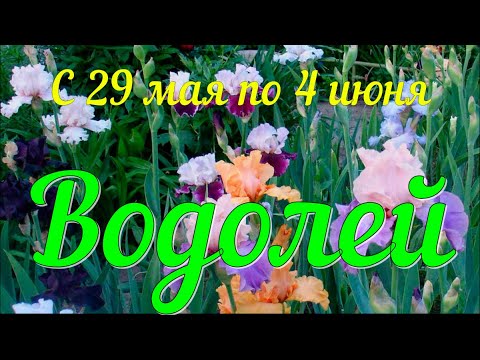 ВОДОЛЕЙ ♒️Неделя с 29 мая по 4 июня.