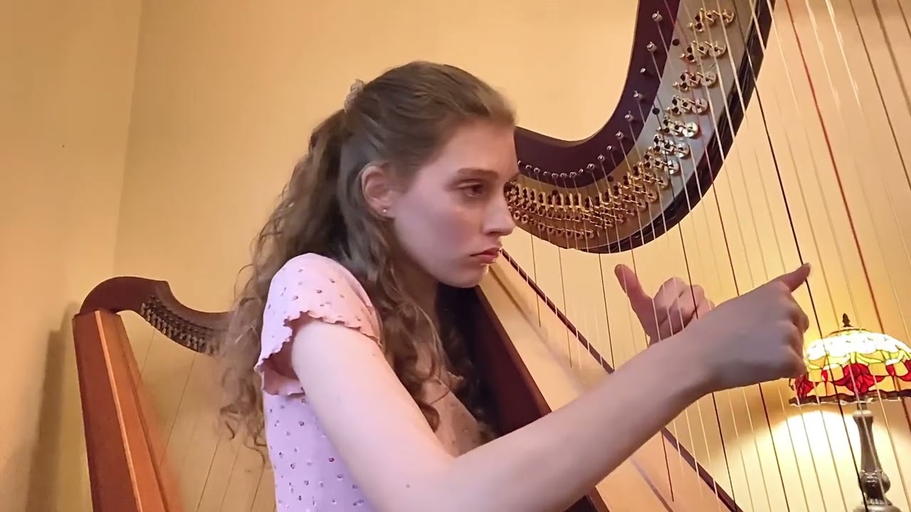 Promotional video thumbnail 6 for Madeleine Restaino Harpist