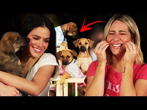BRUNA MARQUEZINE IN THE PUPPY CHALLENGE - A SHOW OF CUTENESS!!!
