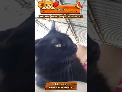 Vídeo de Pretinha