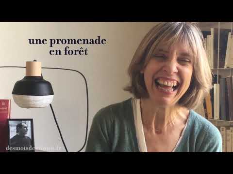 * Claire Désert * Paroles et Musiques - Des mots de minuit