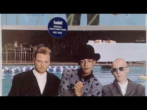 Shotgun City - Habit
