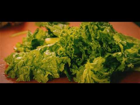 Ridan | The Mutant Studios