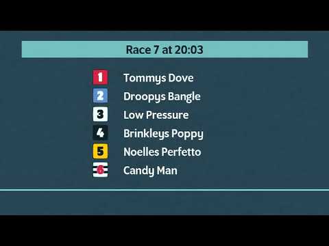 Premier Greyhound Racing Puppy Derby Finals Night on 18th March 2023