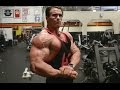 Deathly BACK WORKOUT consult your doctor before attempting | Calum Von Moger