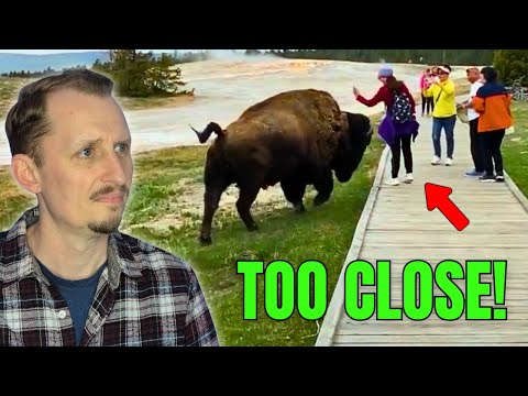 Zoologist Reacts to "Tourons"!