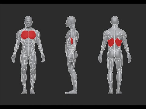 Fit Planner: muscle training video thumbnail