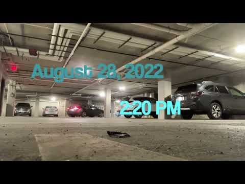 Honda Insight Adventures Ep. 55: THROWBACK THURSDAY - My tires being squeaky for 9 minutes (3/3)