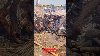 Download lagu proses kremasi atau pembakaran mayat di sungai gangga india #viralvideo #kremasi #india #islam mp3