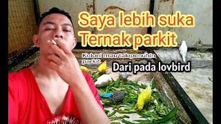 Download lagu Lebih suka ternak parkit dan gak ribet mp3