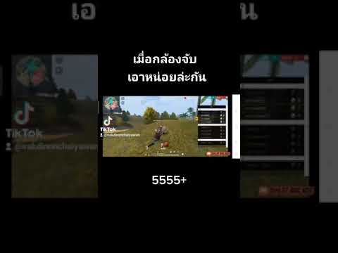ชื่อ ฟีฟาย