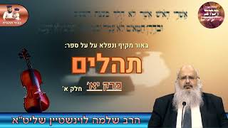 באור מרתק ומקיף על ספר "תהלים" – פרק יא' (חלק א')🎻 הרב שלמה לוינשטיין שליט"א (הרב שלמה לוינשטיין) - התמונה מוצגת ישירות מתוך אתר האינטרנט יוטיוב. זכויות היוצרים בתמונה שייכות ליוצרה. קישור קרדיט למקור התוכן נמצא בתוך דף הסרטון