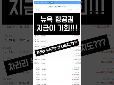 최근 항공권 가격 폭등 속 뉴욕행 항공편의 놀라운 가격 혜택!