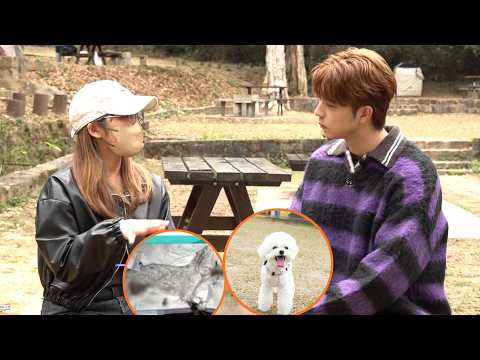 東張西望｜河背水塘1歲貴婦狗被大型犬咬死 狗主外遊落機接噩耗即回程 控訴對方無拖狗繩｜貴婦狗被大型犬咬死｜河背水塘放狗｜瑪蓮萊犬｜曾錦燊