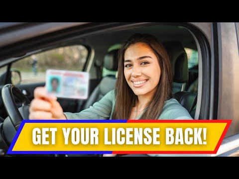Illinois Driver's License Revoked? You Need This