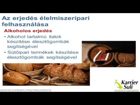 parazita a gerincvelőben széles spektrumú parazita gyógyszer vermox