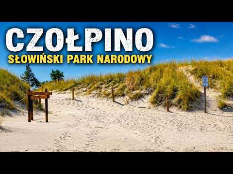 Czołpino: Walking along the trails on the dunes and beach - the secrets of Słowiński Park!