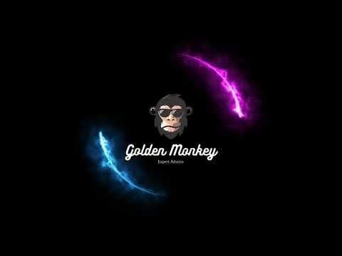 Video Golden Monkey MT5