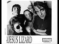 The Jesus Lizard - Tight ’N Shiny