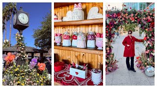 Week in My Life: Tempe Bloom Festival & Valentines Decor/Clothing Haul Part 3