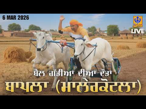 🔴[Live] Bapla | Malerkotla | ਬੈਲ ਗੱਡੀਆਂ ਦੀਆਂ ਦੌੜਾਂ | Ox Races | 06 Mar 2026 | Khalsaji Tv