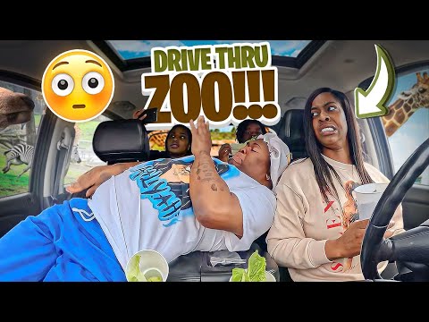 WE ALMOST GOT ATE BY WILD ANIMALS IN A DRIVE THRU ZOO (HILARIOUS)