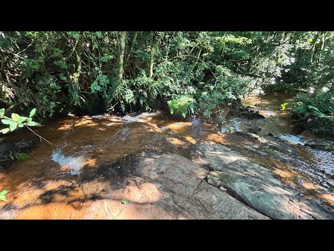 Área 24.000 m2 Tocos do Moji- Escritura Registrada- riacho- 6 km da cidade-R$ 190,000