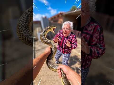 Salvé a mi ABUELITA de esta SERPIENTE ⚠️‼️