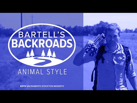 Bartell's Backroads: Animal Style! explores the wide variety of creatures found across California.