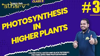 Photosynthesis in Higher Plants Class 11 Biology NCERT Chapter 10 #3 | Calvin Cycle , H S Pathway