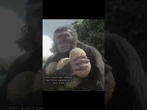 The average day for our ancestors... #earlyhumans #evolution #ancient #australopithecus