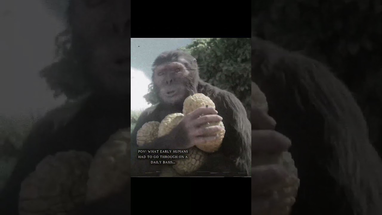 The average day for our ancestors... #earlyhumans #evolution #ancient #australopithecus