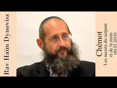 Rav 'Haïm Dynovisz - 13 Chémot - Les secrets du serpent et de la main