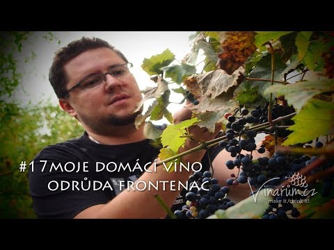 , title : 'vinařům.cz - #17 moje domácí víno z révy - Frontenac 2016 - 1.část'