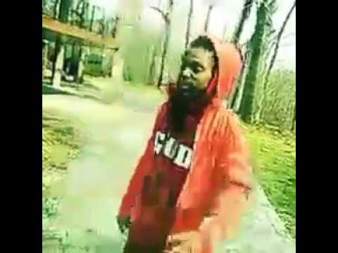 Focused - Haady Haad