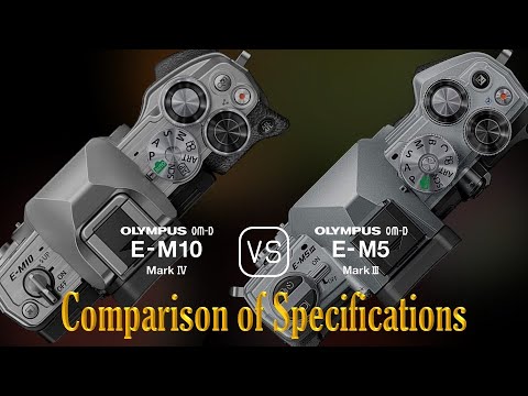 Olympus OM-D E-M10 Mark IV vs. Olympus OM-D E-M5 Mark III: A Comparison of Specifications