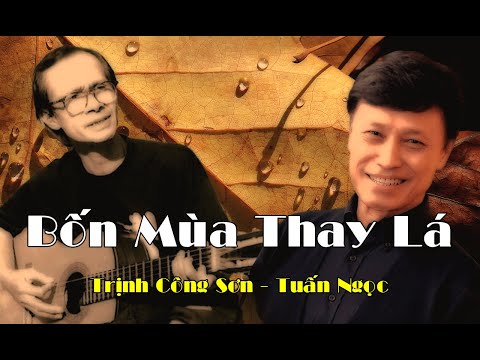Bốn mùa thay lá Sheet - Tuấn Ngọc
