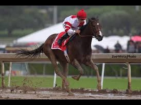 2016 Coaching Club American Oaks  Featuring Songbird
