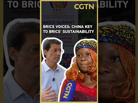 BRICS voices: China plays a huge role in the BRICS' sustainability