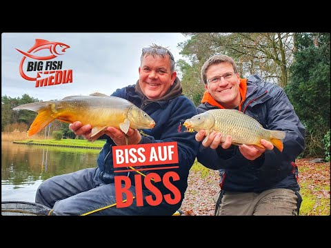 Einfach feedern: Biss auf Biss – Gregor trifft den Profi