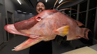 The Fish Everyone Asks Me About