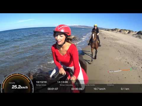 Galoppo in spiaggia con selfie!!!