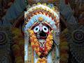 Rath Yatra 2024 Status Video Jagannath Rath Yatra Status 2024 Shorts Rathyatra Jagannath Viral