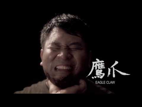 Xing Yi Quan Techniques and Applications