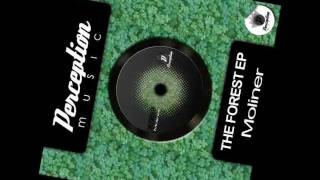 Moliner - The Forest EP . * PROMO TRAXSOURCE*
