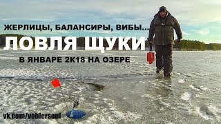 Щука на жерлицы в январе